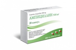 Ампициллин капс. 500 мг 20 шт.